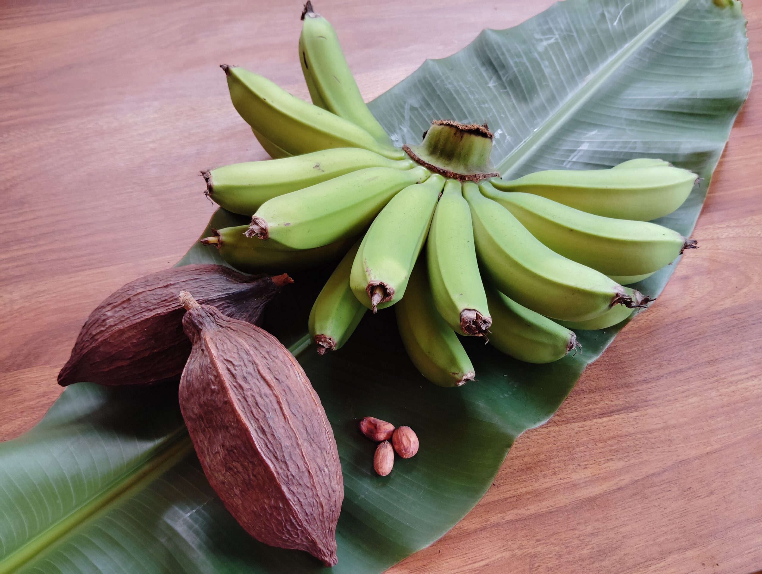 A bunch of bananas